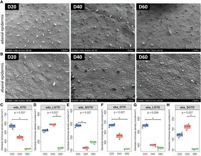 Characteristics of the phyllosphere microbial community and its relationship with major aroma precursors during the tobacco maturation process